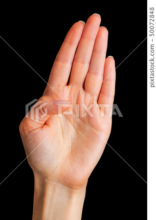 Female hand showing four fingers and palm Female hand showing four fingers and palm 50072848