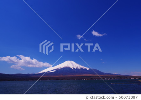 Mt. Fuji and the blue sky seen from the shore of Lake Yamanaka Mt. Fuji and the blue sky seen from the shore of Lake Yamanaka 50073097
