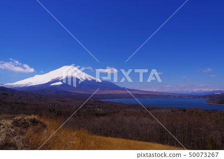 Mt. Fuji seen from Mt. Mikuni Mt. Fuji seen from Mt. Mikuni 50073267