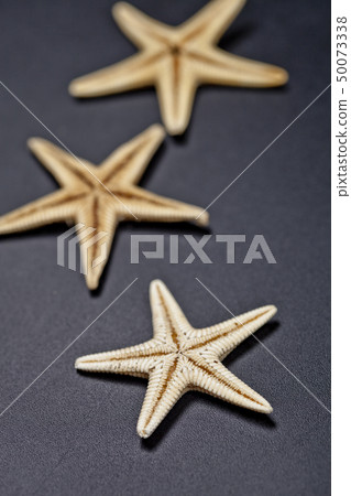 Three starfish on black background. 50073338