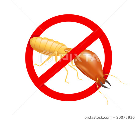 termite in prohibited red circle sign isolated termite in prohibited red circle sign isolated 50075936