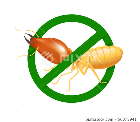 termite in prohibited green circle sign isolated 50075941