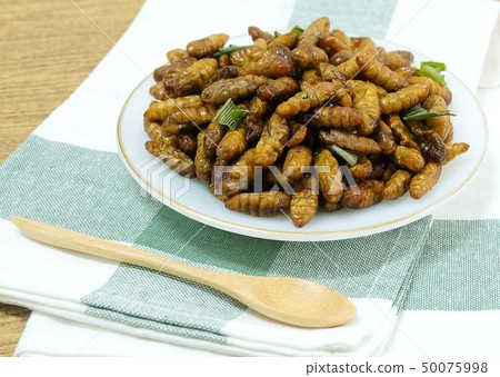 Deep Fried Coconut Worms on A White Dish 50075998