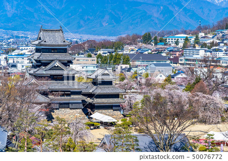 Matsumoto Castle and city area seen from Matsumoto City Office observation deck [Nagano Prefecture] 50076772