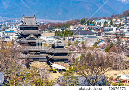 Matsumoto Castle and city area seen from Matsumoto City Office observation deck [Nagano Prefecture] 50076773