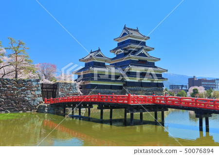 [長野縣]盛開著櫻花的松本城（青梅城和犬井小城） 50076894