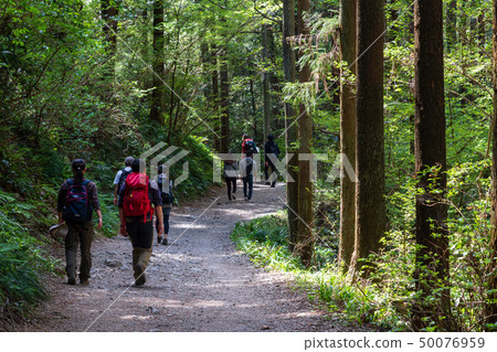 Mt. Takao登山Biwa瀑布路線 50076959