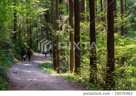 Mt. Takao mountain climbing Biwa waterfall course Mt. Takao mountain climbing Biwa waterfall course 50076962
