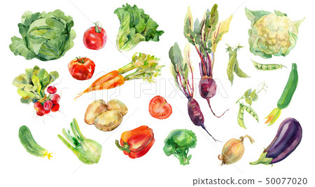 Watercolor painted collection of vegetables. Fresh colorful veggies background 50077020