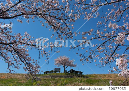 Monument of crush 50077085