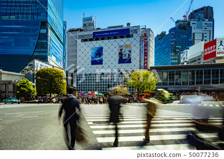 澀谷爭奪路口 澀谷爭奪路口 50077236