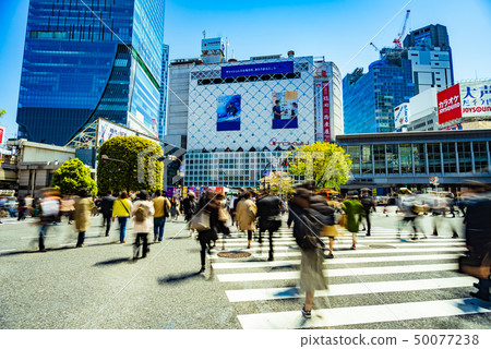 澀谷爭奪路口 澀谷爭奪路口 50077238