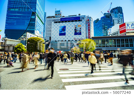 澀谷爭奪路口 澀谷爭奪路口 50077240