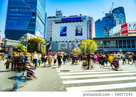 澀谷爭奪路口 50077241