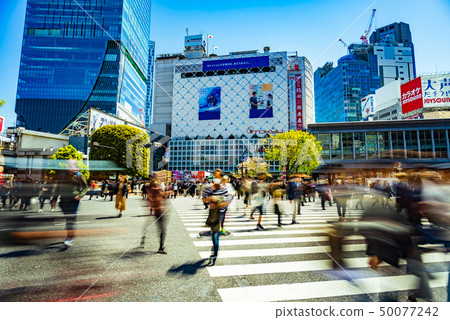 澀谷爭奪路口 澀谷爭奪路口 50077242