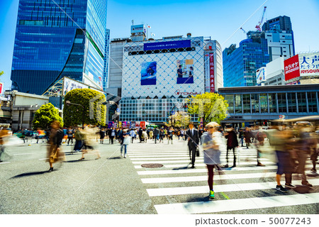 澀谷爭奪路口 澀谷爭奪路口 50077243