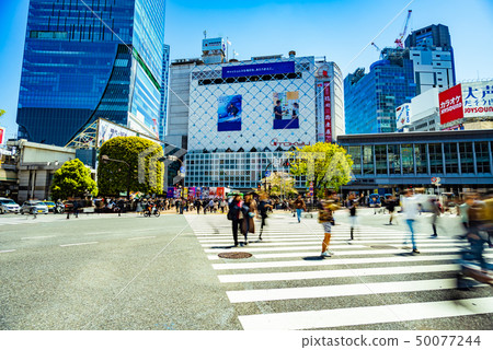 澀谷爭奪路口 50077244