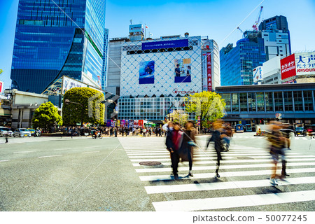 澀谷爭奪路口 澀谷爭奪路口 50077245