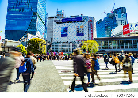 澀谷爭奪路口 50077246