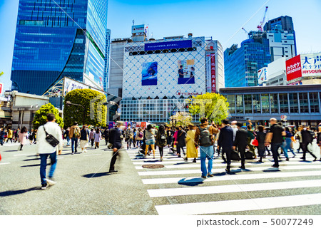 澀谷爭奪路口 澀谷爭奪路口 50077249