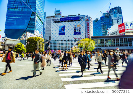澀谷爭奪路口 澀谷爭奪路口 50077251
