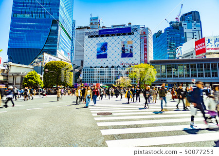澀谷爭奪路口 澀谷爭奪路口 50077253