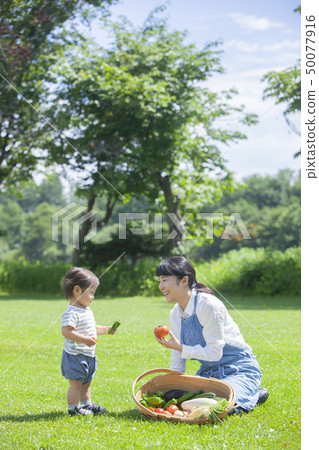 夏季蔬菜豐收 50077916