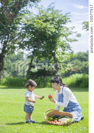 夏季蔬菜豐收 50077917