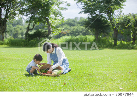 夏季蔬菜豐收 50077944