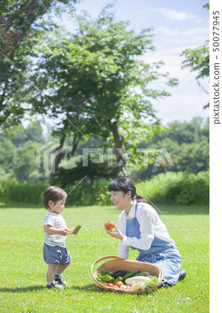 夏季蔬菜豐收 50077945