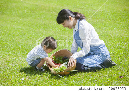 夏季蔬菜豐收 50077953