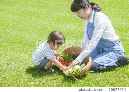 夏季蔬菜豐收 夏季蔬菜豐收 50077954