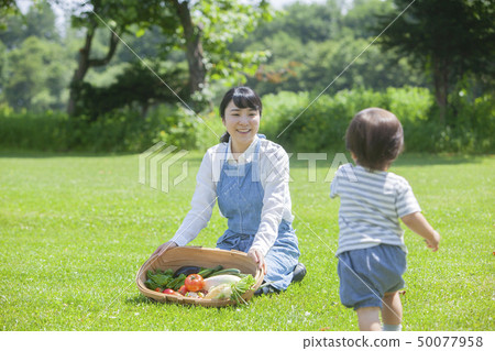 夏季蔬菜豐收 夏季蔬菜豐收 50077958