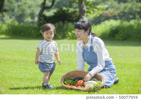 夏季蔬菜豐收 夏季蔬菜豐收 50077959