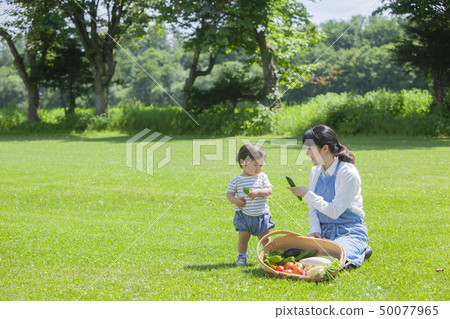 Summer vegetable harvest Summer vegetable harvest 50077965