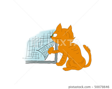 Doraneko Doraneko 50078646