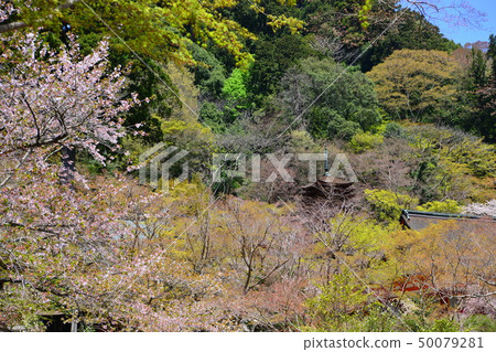 Tsushiyama Shrine三重塔 Tsushiyama Shrine三重塔 50079281