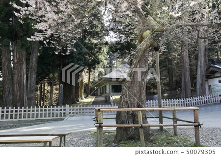 Iwate Prefecture Hiraizumi 50079305