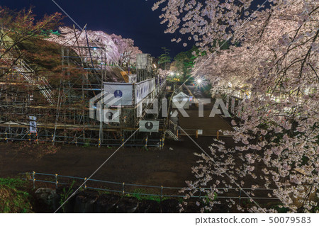 Landscape of Ishigaki during restoration of the lighted up Hirosaki Castle ruins of spring seen from Shimodari Bridge 50079583