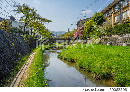 Spring Tamasu Onsen Spring Tamasu Onsen 50082208
