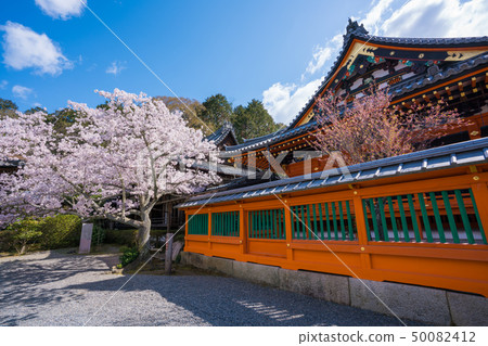 Cherry blossoms in Kyoto Cherry blossoms in Kyoto 50082412