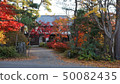 Western-style building of colored leaves 50082435
