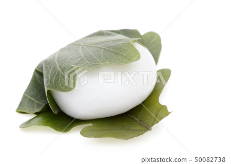 Kashiwabaki sweets 50082738