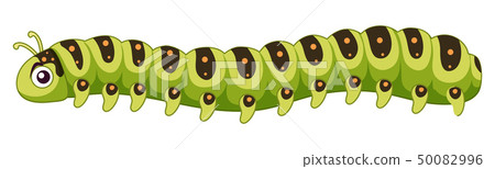 A caterpillar on white background A caterpillar on white background 50082996