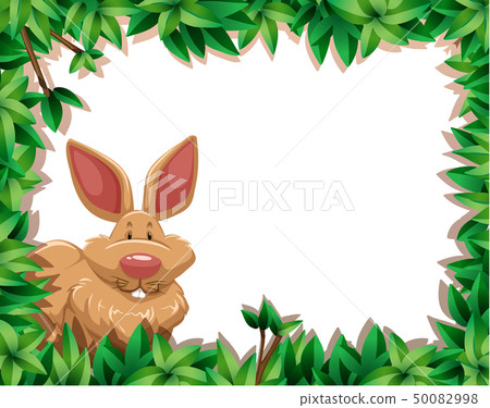 rabbit in the jungle rabbit in the jungle 50082998