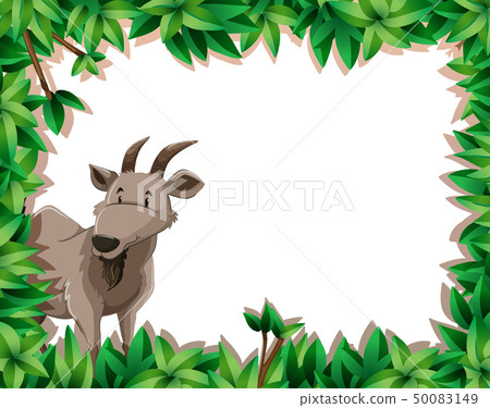 A goat on nature frame 50083149