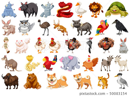 Set of wild animal 50083154