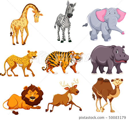 Set of wild animal - Stock Illustration [50083179] - PIXTA