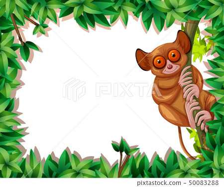 A tarsier in nature frame A tarsier in nature frame 50083288