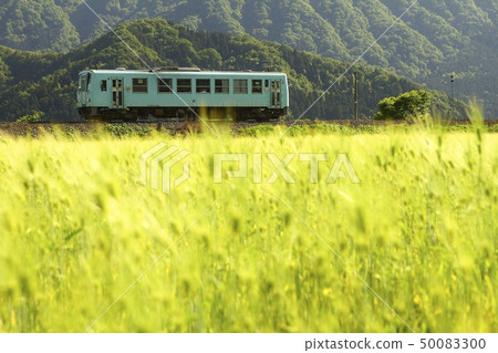 Wheat and Etsumi North Line 50083300